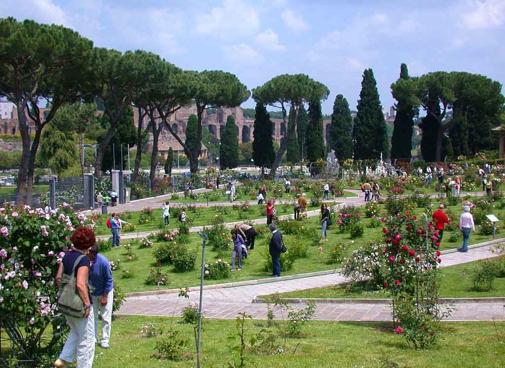 Il 21 Aprile apre il Roseto Comunale di Roma￼￼